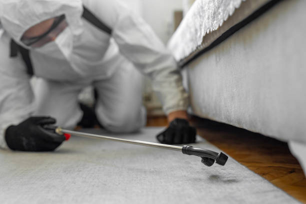 Professional Bed Bug Control technician working in Kathleen, FL